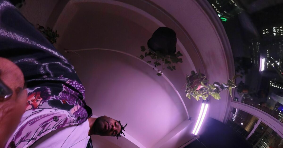 DAPASHU? — official artist page, MUTEK Montréal 2024