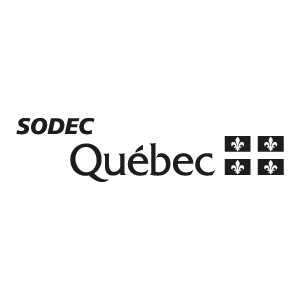 SODEC 300x300