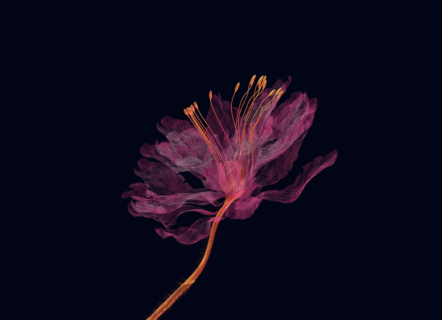 MUTEK - Event Placeholder