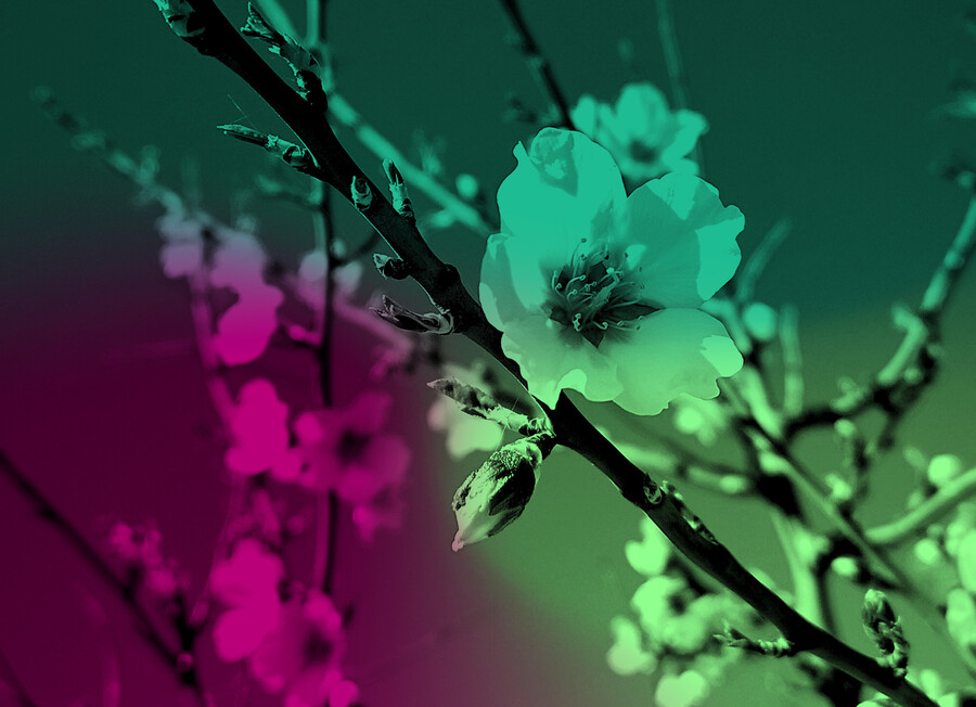 MUTEK - Event Placeholder